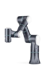 Rizon - Image 2