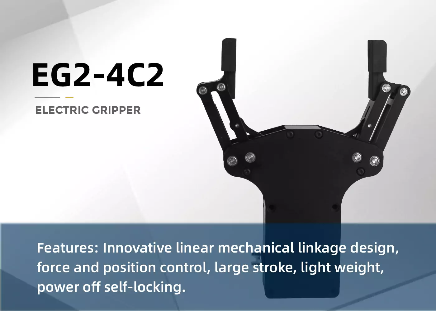 EG2-4C2