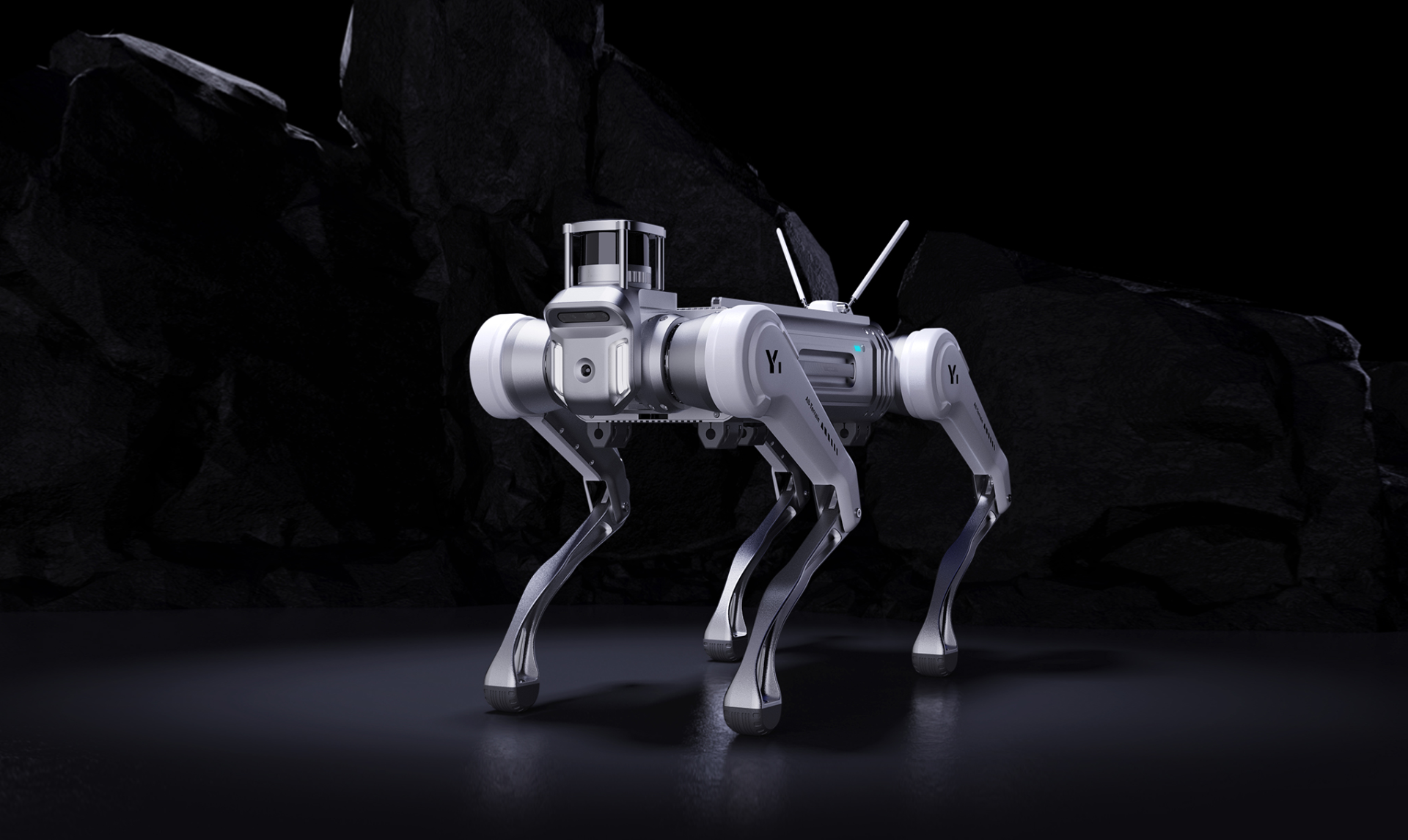 MagicDog Y1