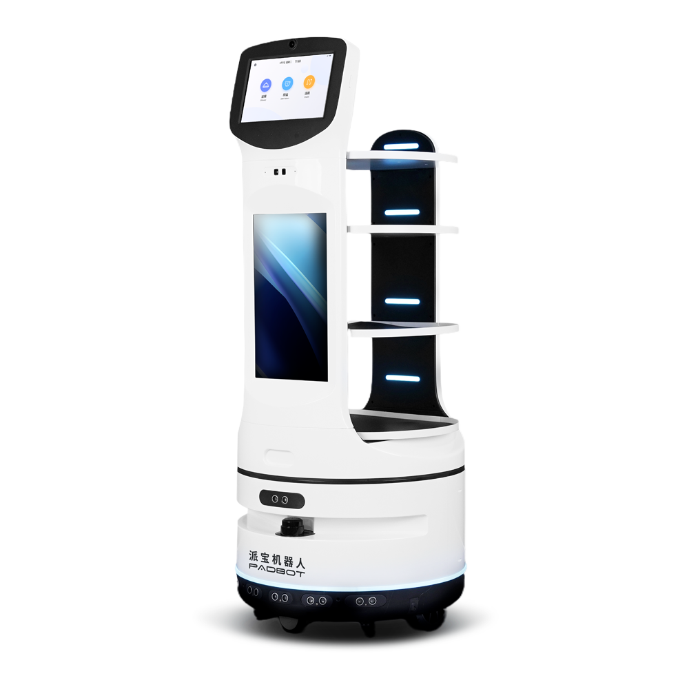 Food Delivery Robot W3s