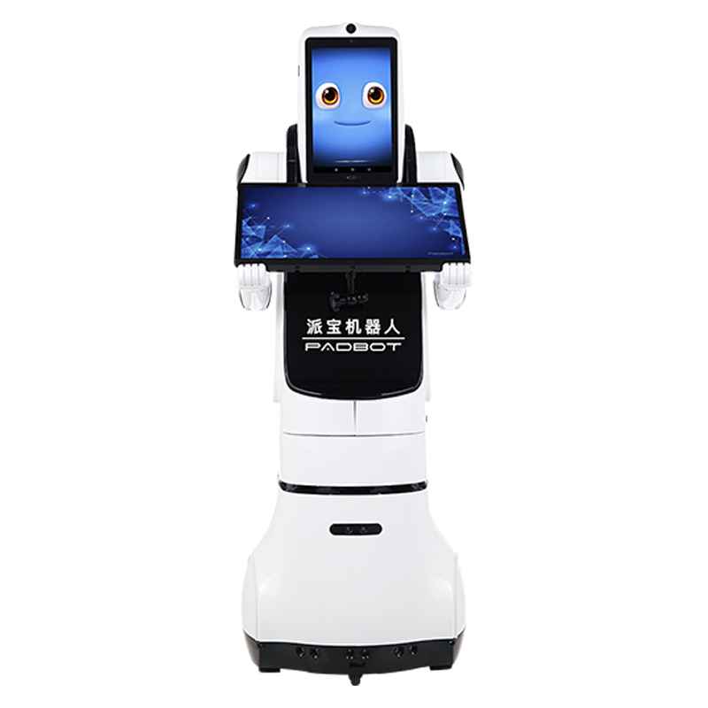 Industrial Robot X2