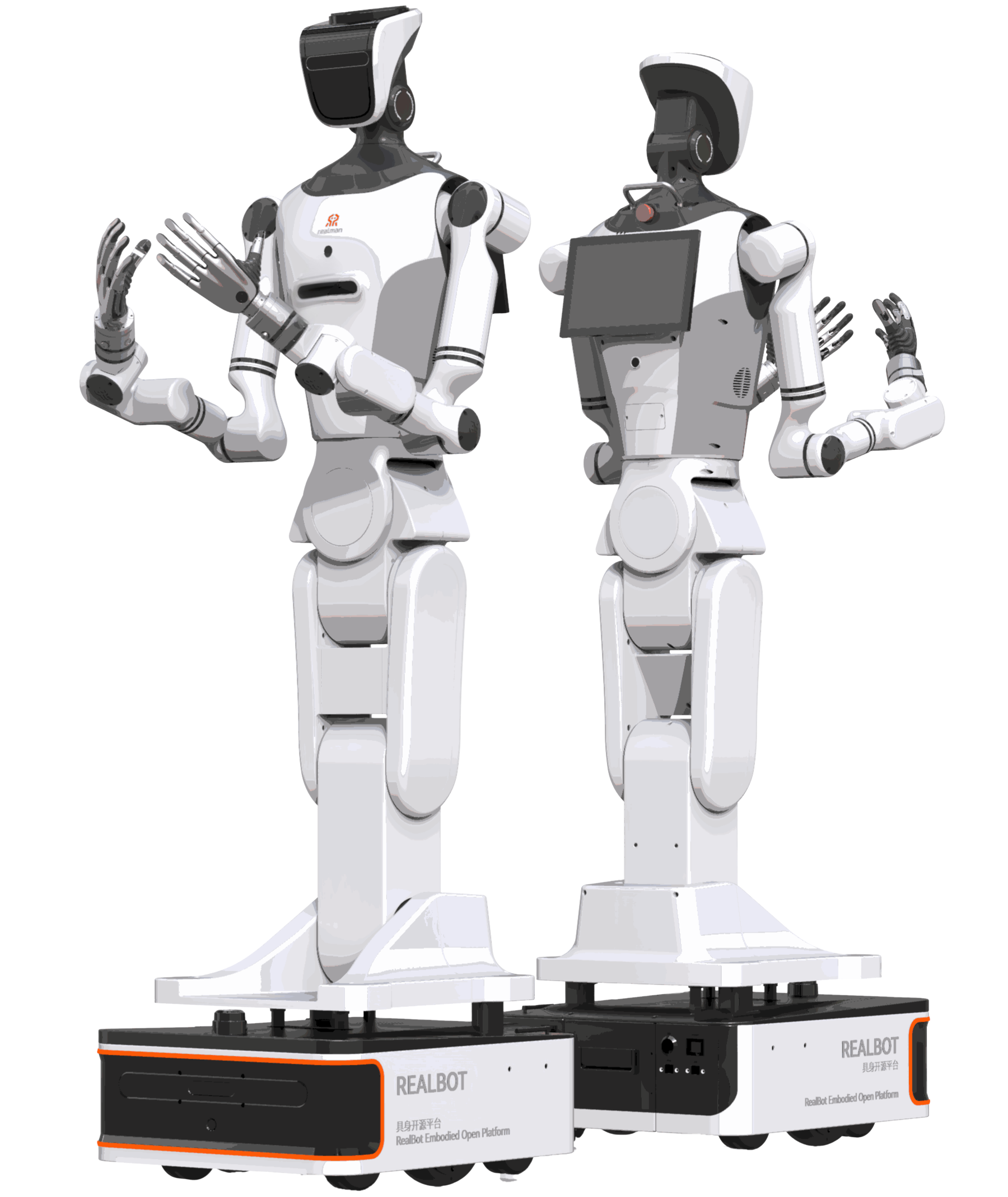 RealBot-01 Humanoid