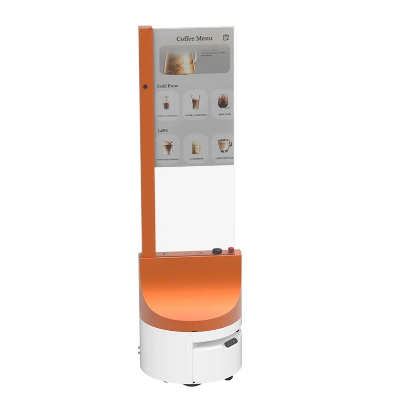 OLED Advertising Robot