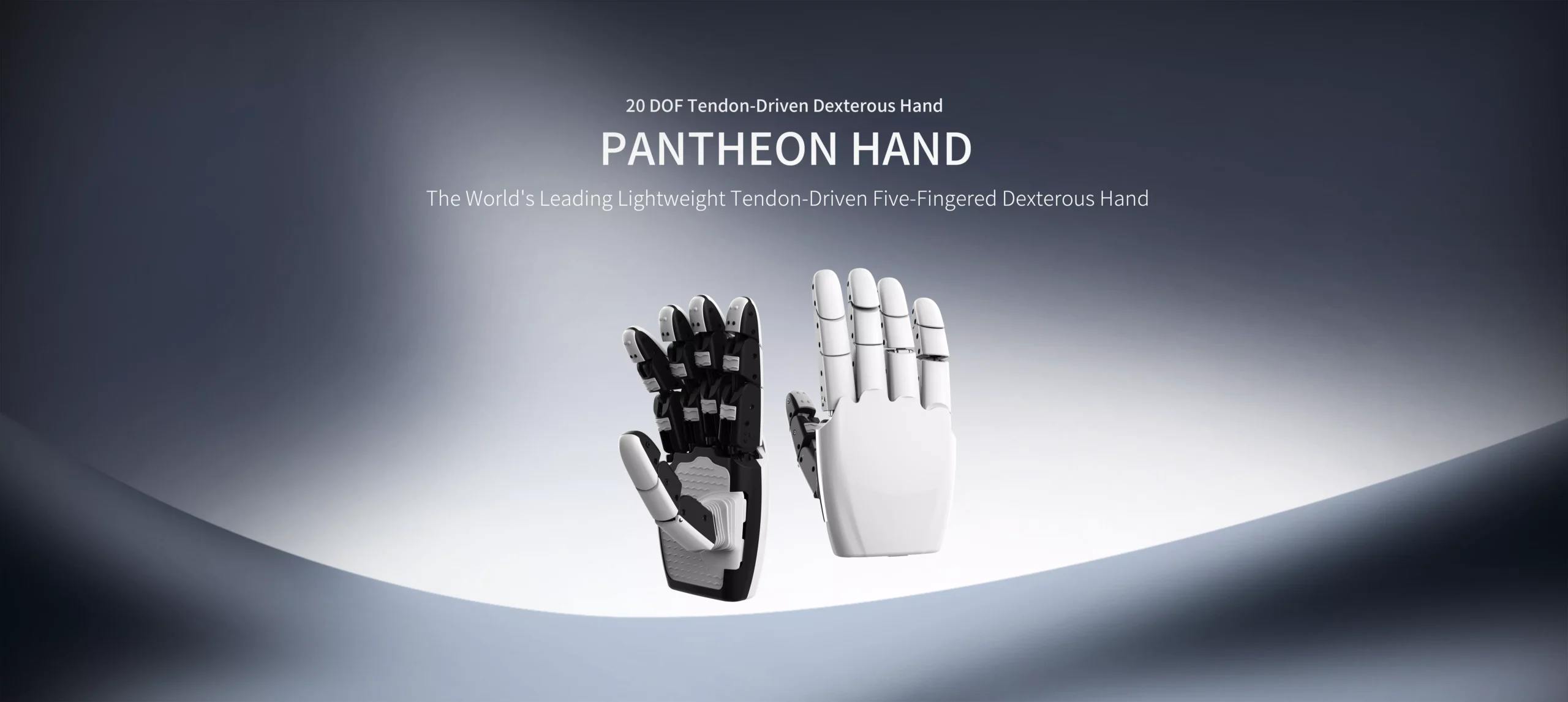 Pantheon Hand 20