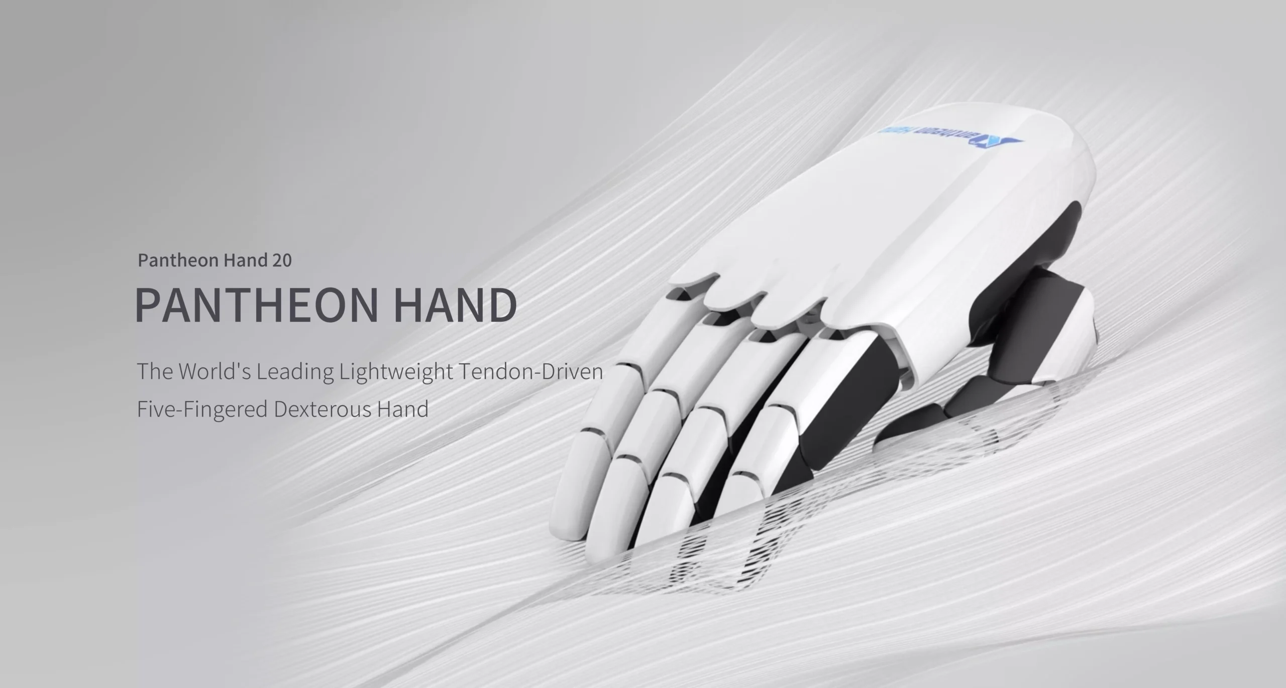 Pantheon Hand 20 - Image 2