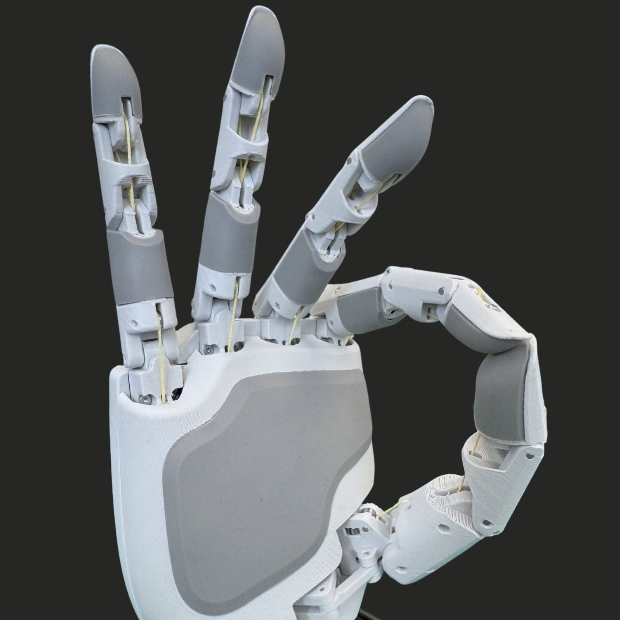 Aero Hand Open - Assembled - Image 2