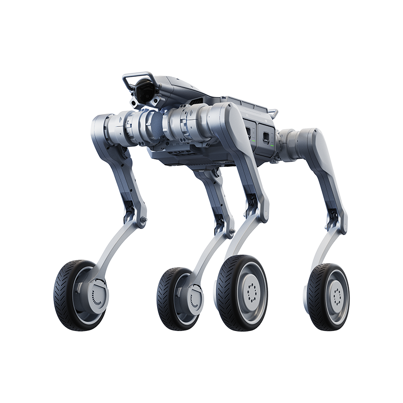 B2-W