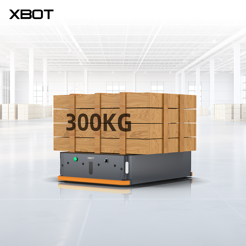 AGV300P